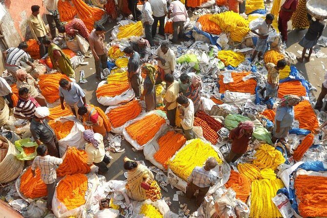02 Days Private Tour of Kolkata & Sundarbans Day Excursion - Transfers, meals, and timing: how the days flow in real life