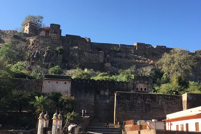 03 Days Private Ranthambore Wildlife Safari Tour From Delhi - Delhi to Ranthambore Fort: Day 1 is all about getting set up fast