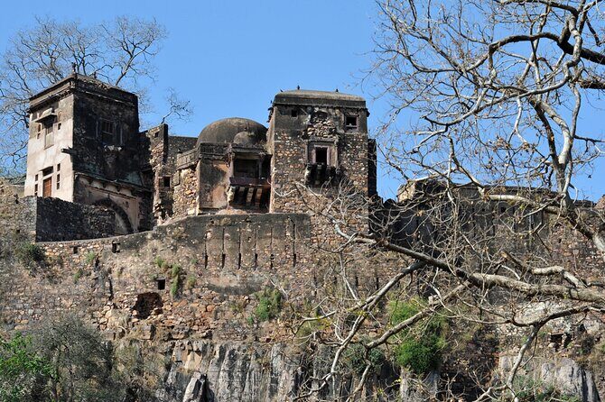 03 Days Private Ranthambore Wildlife Safari Tour From Delhi - Your hotel stay (3-star to 5-star) and what’s actually included