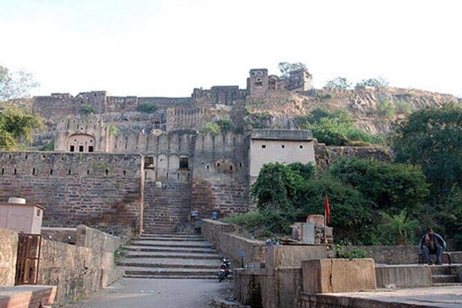 03 Days Private Ranthambore Wildlife Safari Tour From Delhi - Price and value: is $220 per person fair for a 3-day private Ranthambore safari?
