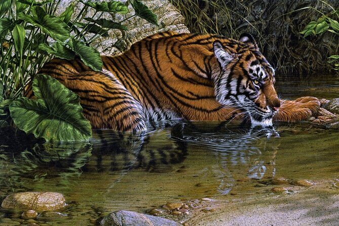 03 Days Private Wildlife Ranthambore Tiger Tour from Jaipur - What you’re really paying for: transfers, entry fees, and included meals