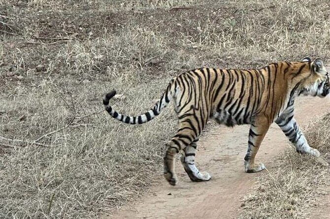 08 Days Golden Triangle Tour with Ranthambore and Jhalana Safari - Agra with less stress: getting the Taj Mahal moment at the right time