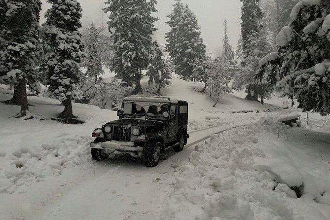 09 Nights / 10 Days Himachal Package - Highlights You’ll Actually Notice