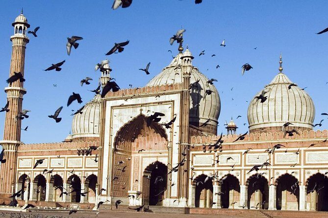 1 Day Delhi and 1 Day Agra Tour From Delhi with Taj Mahal Sunrise - With Hotels - Price and logistics: what you’re really paying for