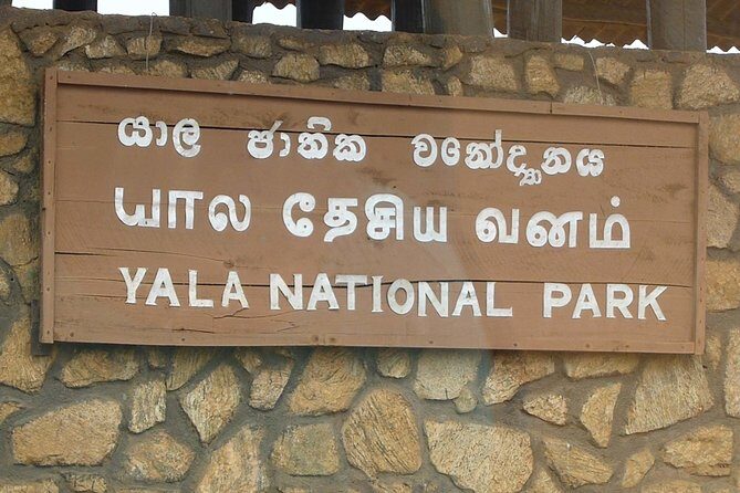 1 Day tour to Yala National Park or Udawalawe National Park - How this one-day safari really runs from Kalutara