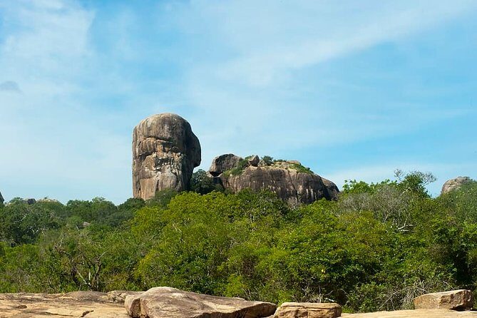 1 Day tour to Yala National Park or Udawalawe National Park - Timing, group style, and your photo odds
