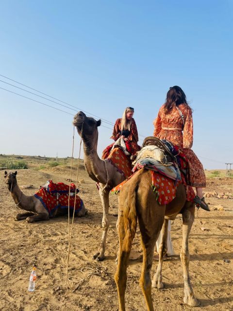 1 night 2 days Thar Desert Experience Jaisalmer - Who this Thar Desert experience suits best (and who should reconsider)