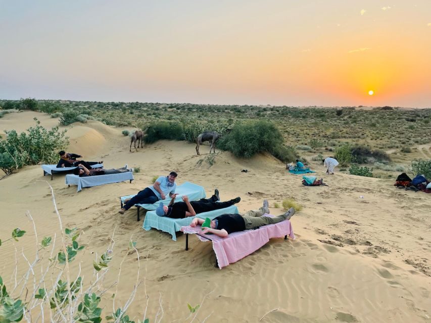 1 night 2 days Thar Desert Experience Jaisalmer - Desert day schedule: breaks, photos, guided time, and dune fun