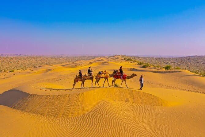 1-Night and 2-Days Thar Desert Safari Tour - Camel riding and the quiet night under the stars
