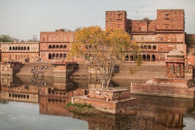 10 Days Delhi Agra Jaipur Tour with Rajasthan - Meeting Delhi Like You Mean It: Airport Pickup and First Night Comfort