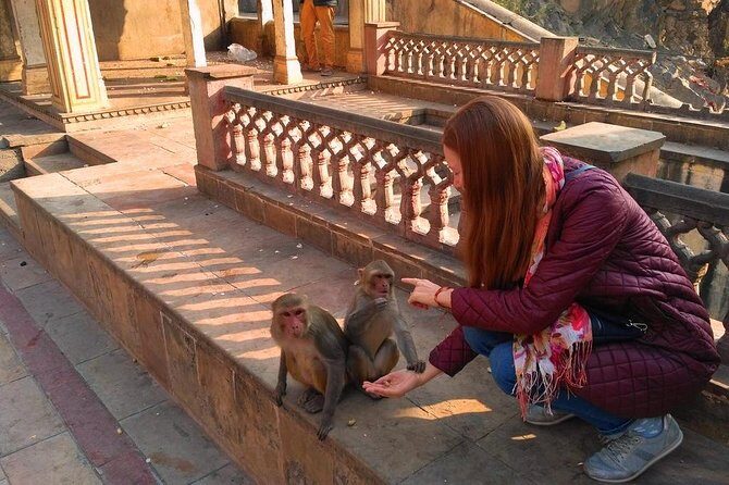 10-Days Rajasthan & Agra tour from Delhi Includes Hotels,Transportations & Guide - Day 1 in Delhi: airport pickup and a reset night