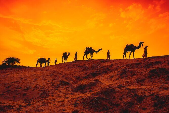 12 Day Classic Rajasthan Tour - Taj Mahal Tigers Lakes & Wildlife - Why this 12-day Rajasthan + Tigers route feels like a smart “first taste”