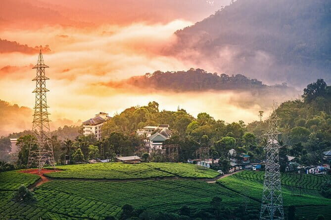 12 Hours Private Munnar Tour from Kochi - Key highlights