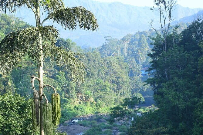 12 Hours Private Munnar Tour from Kochi - Lockhart Tea Factory (Lockhart Tea Tourism): tea tasting with context