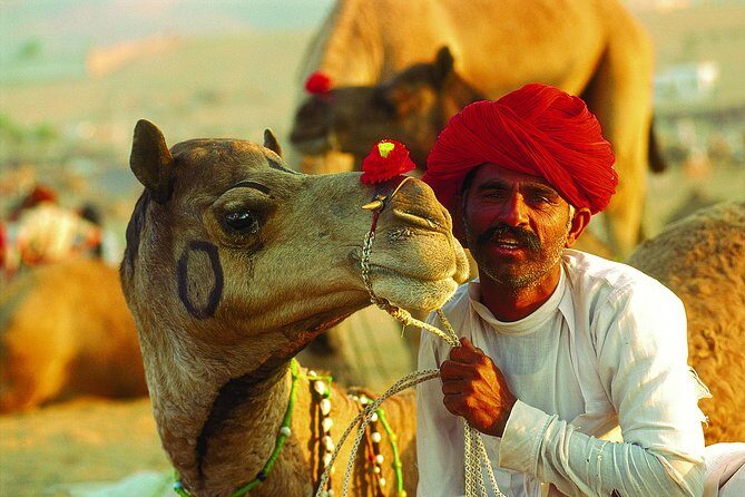16-Days Rajasthan Tour with Agra from Delhi by,Includes,Guide,Hotels,A-C Vehicle - Agra by AC Car: Taj Mahal at Sunset, Not at the Rush Hour