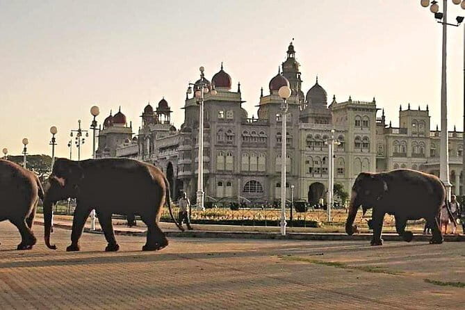 2 Day Bandipur Safari and Mysore Palace Tour - Jeep safaris, naturalists, and lodge sleep: the real comfort wins