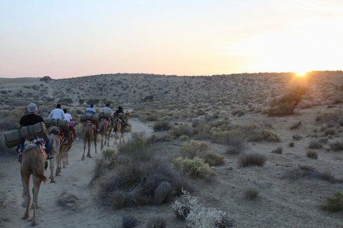 2 Days-1 Night Camel Tour - A Real Desert Night, Not a Photo-Only Stop