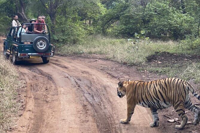 2 Days, 1 Night, Private Jaipur to Ranthambore Guided Tour - Key things to know before you go