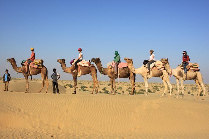 2 Days and 1 Night Camel Safari - Key highlights worth knowing