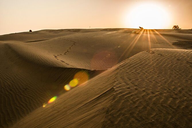 2 Days and 1 Night Camel Safari - Entering the Thar Desert world: why this safari works