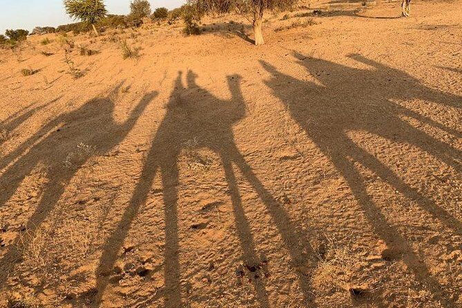 2 Days Jodhpur Private Tour With Camel Ride And Village Tour - Day 2 Bishnoi Villages: Wildlife Chances at the Desert Edge