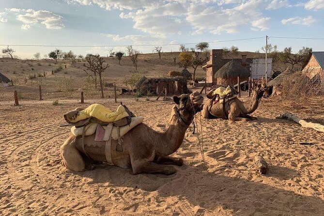2 Days Jodhpur Private Tour With Camel Ride And Village Tour - English-Speaking Driver and Private Car: Convenience That Changes Your Day