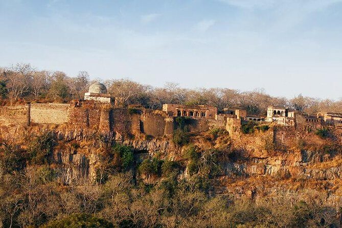 2 Days Ranthambore Tiger Safari with Tickets - Ranthambore Fort + National Park: what this 2-day plan really does for you
