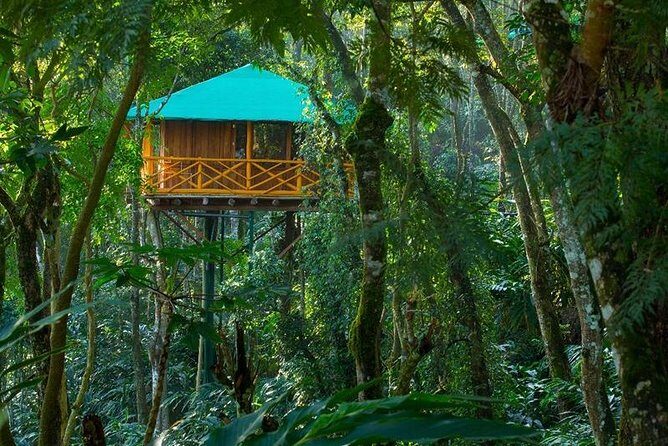 2 Nights Munnar Treehouse Escape with Private Car- Iris Holidays - How the Kochi-to-Munnar ride keeps the day from dragging