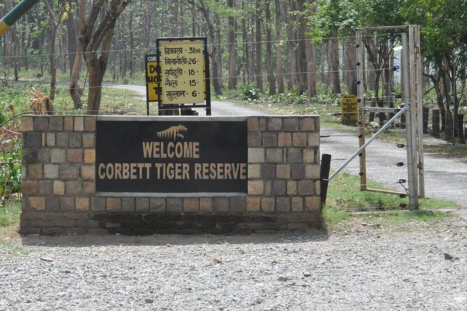 2 Nights Stay at Dhikala Zone in Jim Corbett National Park - Dhikala Zone overnight: what you actually gain in Jim Corbett