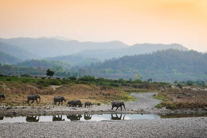 2N Jim Corbett National Park (Dhikala Zone) - Why Dhikala Core Zone is the Main Event