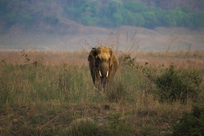 2N Jim Corbett National Park (Dhikala Zone) - Day 3 Morning Check-Out: Then Off to Nagpur