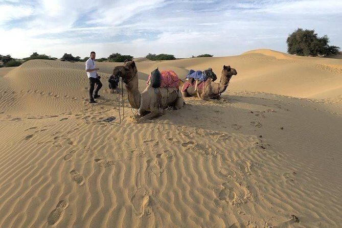 3-Day Jaisalmer Tour From Jodhpur - The human factor: the guide can make or break it