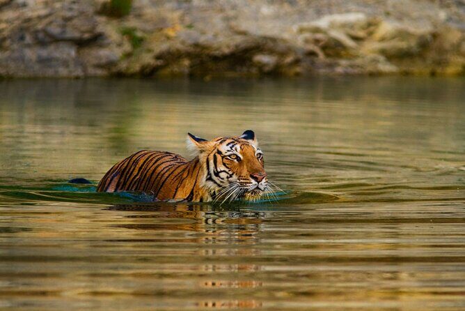 3-Day Private Ranthambhore Tiger Tour Including Delhi, Agra, Jaipur - Quick hits for Delhi–Agra–Jaipur plus Ranthambhore