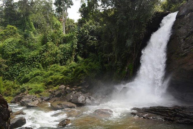 3-Day Wayanad Tour from Bangalore - Where you’ll likely spend extra money (and how to decide fast)