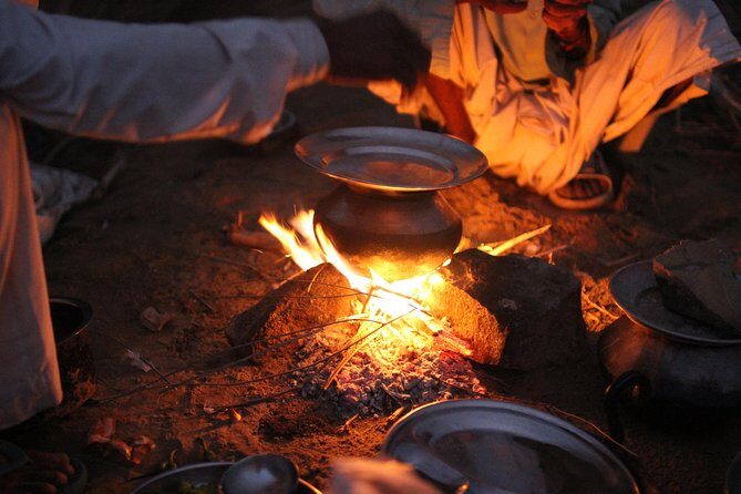 3 Days / 2 Nights Camel Safari - Day 2: wildlife time and a second day that stays calm
