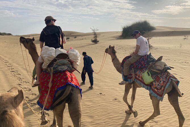 3 Days Tour in Wild Desert Safari - Key highlights before you go