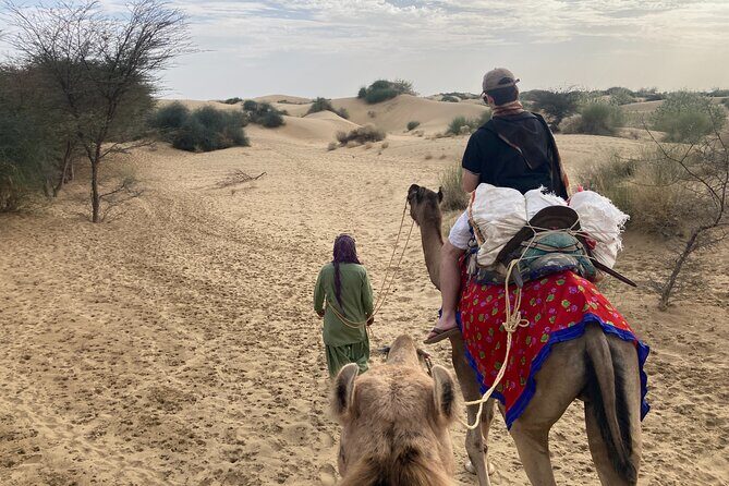 3 Days Tour in Wild Desert Safari - Day 3: sunrise breakfast, final camel ride, and back by 11:00am