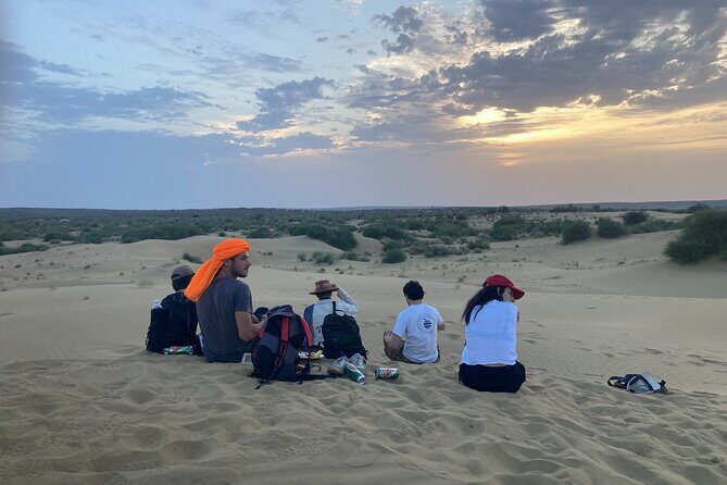 3 Days Tour in Wild Desert Safari - Pickup, mobile ticket, and group size: how logistics affect your comfort