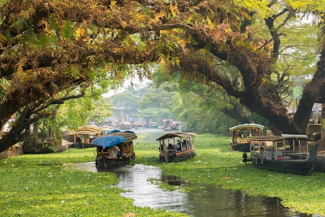 3 Nights Private Kerala Premium Package by Sanguine Holidays - What to pack for Munnar’s altitude and the backwaters pace