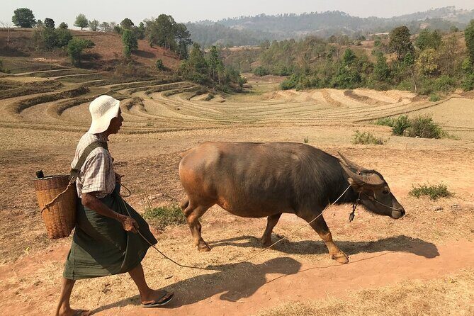 3Days Less Touristic Way Trekking from Kalaw To Inle - The feel of a less-touristic trek from Kalaw