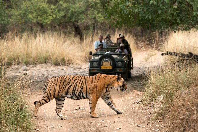 4 Days Golden Triangle Tour with Ranthambore from Delhi - Day 2 sunrise Taj Mahal: what the 6.00 am plan gets you