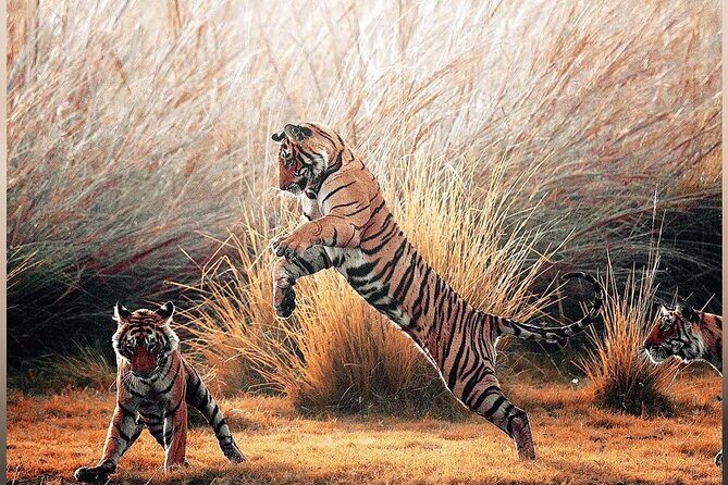 4 Days Guided Jaipur, Ranthambore Tigers & Udaipur Tour With Safari & Hotels - Price and Meal Math: What $288 Means in Real Terms
