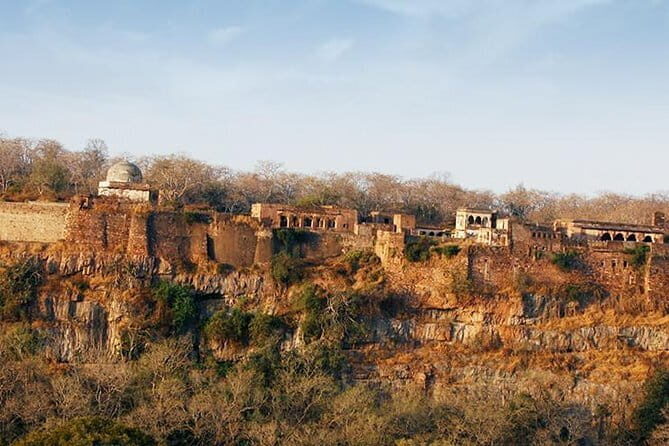 4 Nights 5 Days Jaipur-Ranthambore Tour - Why Private Jaipur + Ranthambore Beats DIY Timing