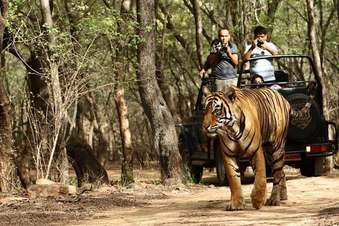 4Night and 5Days Triangle Tour from Jaipur > Agra > Delhi . - Pace and comfort: a 3-day triangle is efficient, not slow
