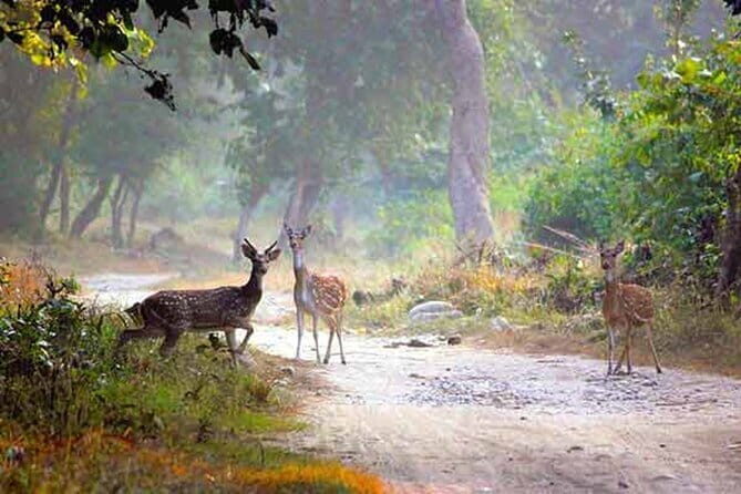 5-Day Golden Triangle Delhi Agra Jaipur Tour with Leopard Safari - Fatehpur Sikri: a UNESCO detour with real atmosphere