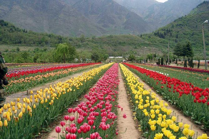 5 Day Paradise Kashmir Tour - Your meals and lodging: what’s included (and what you’ll still pay)