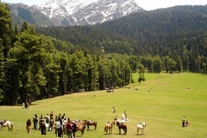 5 Day Paradise Kashmir Tour - Price and logistics: is $599 really fair for this mix?