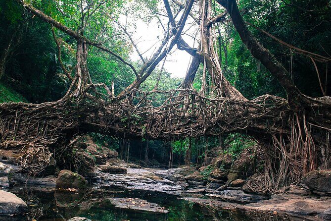 5-Day Private Tour in Meghalaya with Meals and Accommodation - Shillong’s waterfalls: Ward’s Lake, Elephant Falls, and the stairs you should expect
