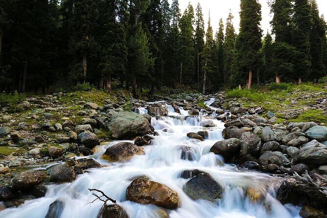 5 Days and 4 Nights Private Tour of Kashmir - Gulmarg Gondola Phase 1: From Meadow Time to Mountain Air