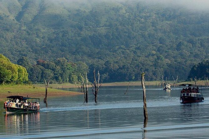5 Days Budget Kerala Tour Packages by Sanguine Holidays - Why this 5-day Kerala route makes sense when you land in Kochi